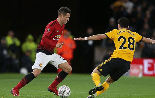 活性提供了 活性提供了